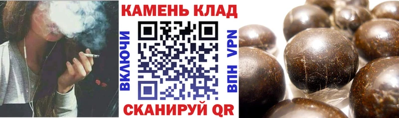 сколько стоит  Туран  Гашиш Изолятор 