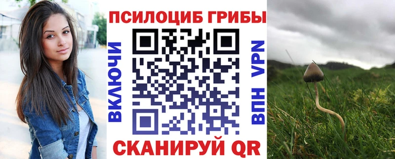 Галлюциногенные грибы мухоморы  Туран 